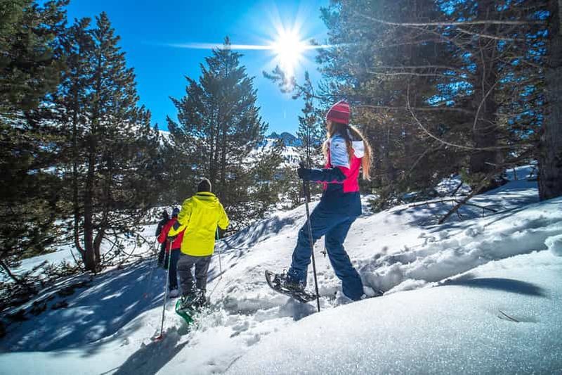 Billet Andorre : Excursion guidée en raquettes à Grau Roig