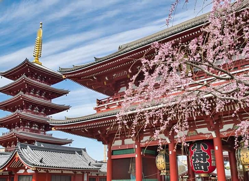 Billet Tokyo : visite à pied d'Asakusa, du temple Senso-ji et du sanctuaire