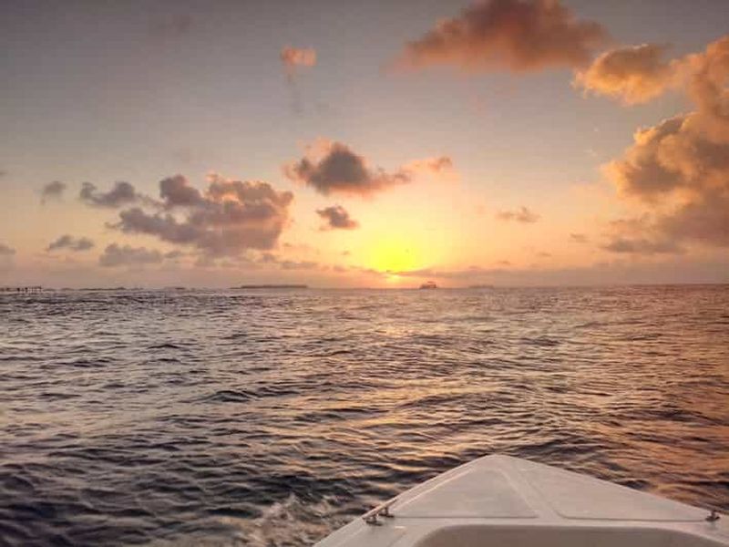 Billet Maldives : croisière au coucher du soleil avec observation des dauphins