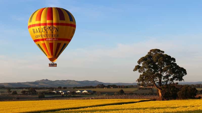 Billet Barossa Valley : vol en montgolfière