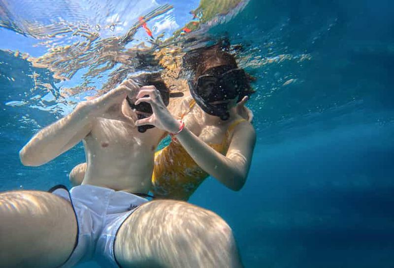 Billet Ko Tao : excursion de plongée avec tuba pour les lève-tard, avec déjeuner et photos