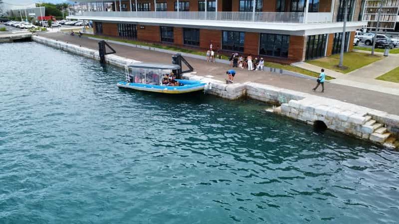 Billet Nouméa : Île du Signal NAGEZ AVEC LES TORTUES