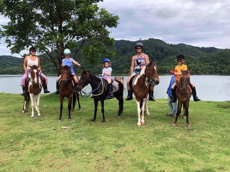 Billet Balade à cheval dans la jungle de Phuket avec vue panoramique sur la forêt