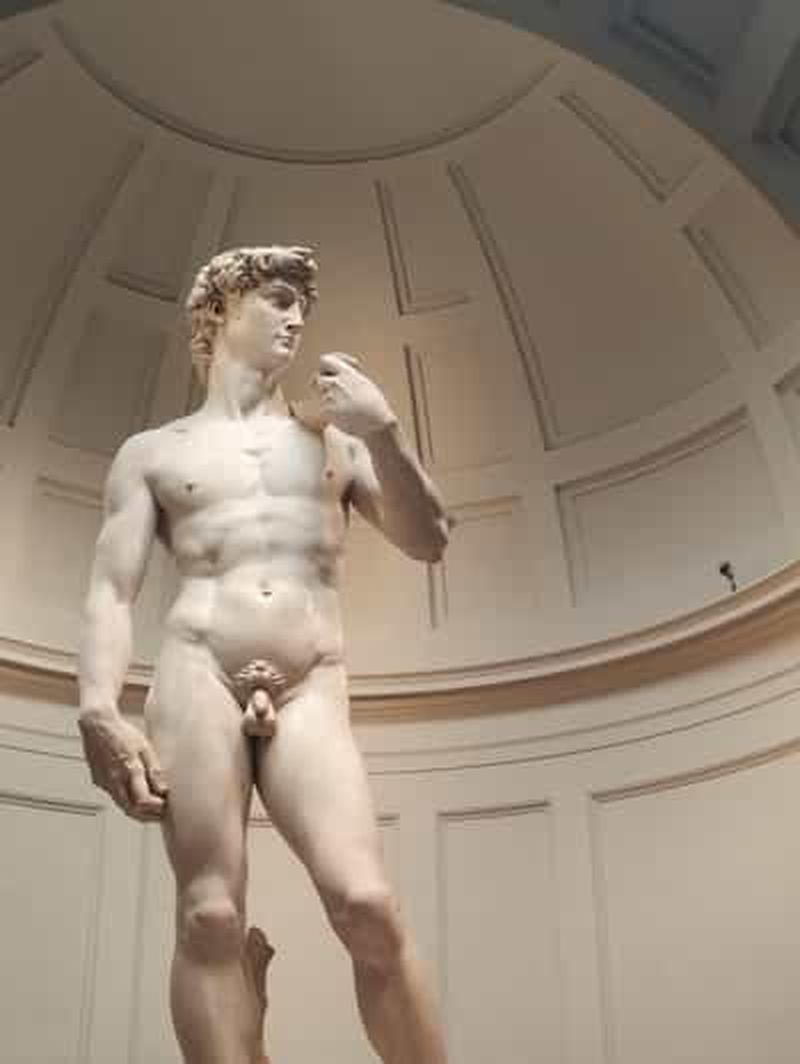 Billet Florence : billet d'entrée à la galerie de l'Académie et visite guidée du David