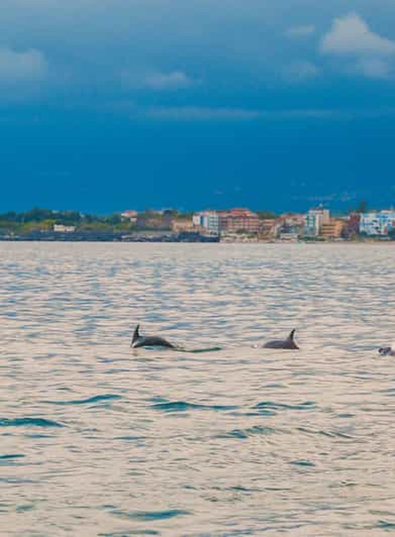 Billet Giardini Naxos Taormina : Observation des dauphins au coucher du soleil