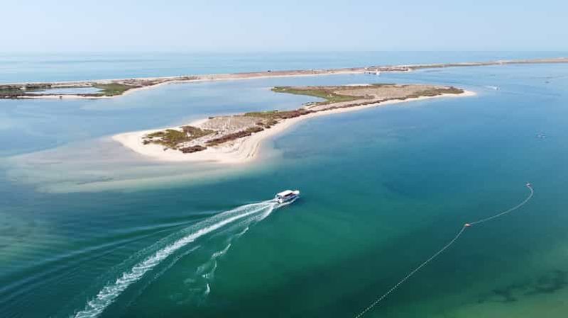 Billet Depuis Fuzeta : Excursion en bateau de 2 heures dans le sud-est de la Ria Formosa