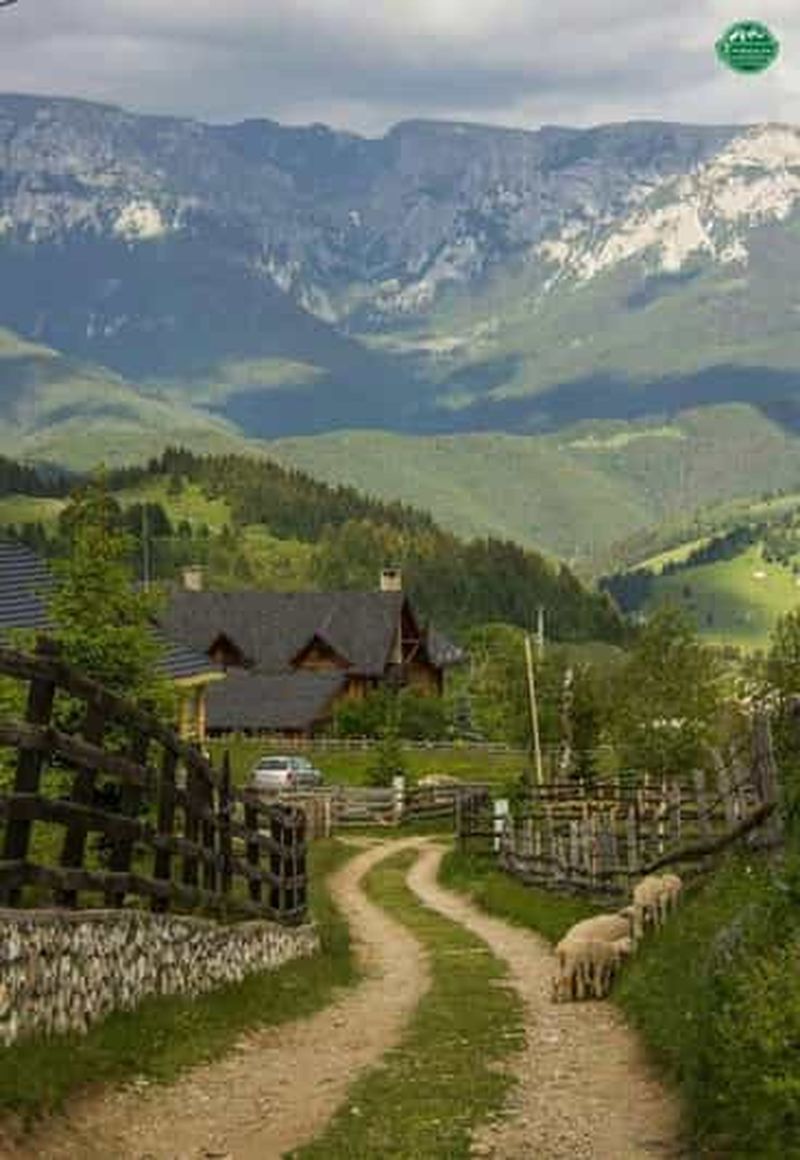 Billet Bucarest : visite des villages et de la campagne roumaine