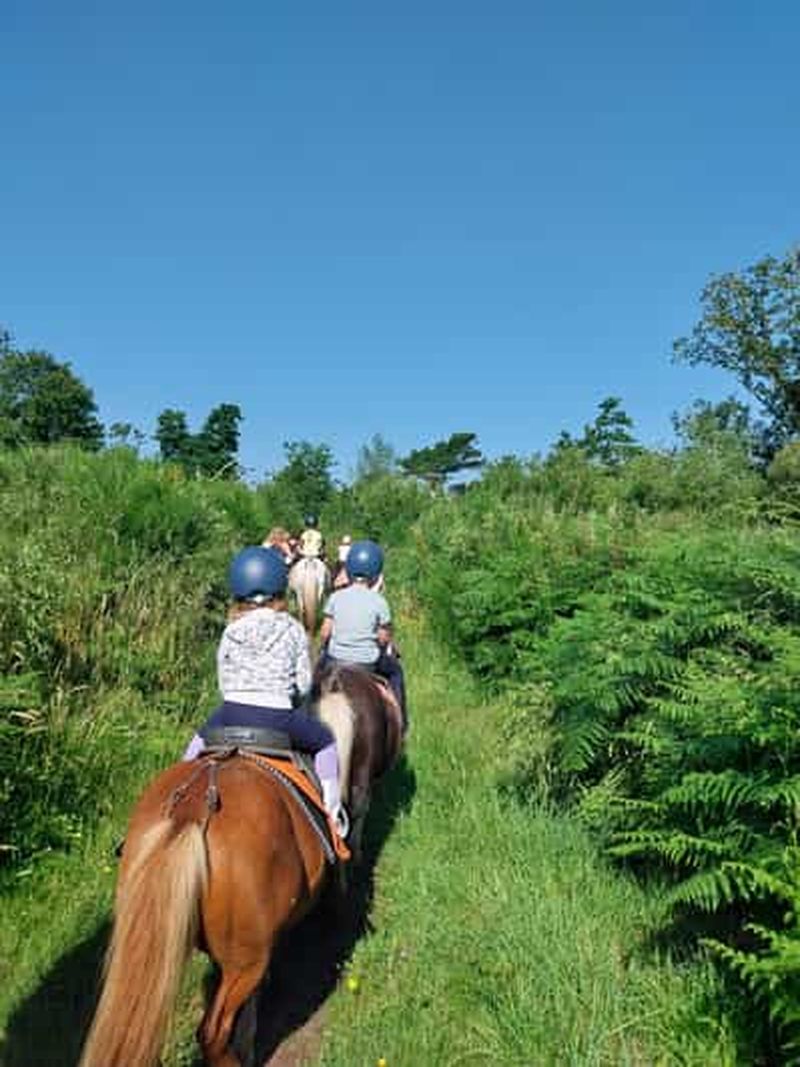 Billet BALADE DECOUVERTE A PONEY