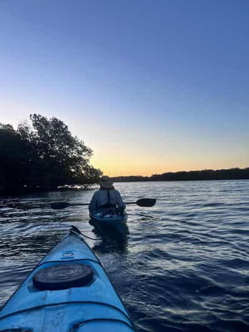 Billet Adélaïde : excursion en kayak dans la mangrove au crépuscule