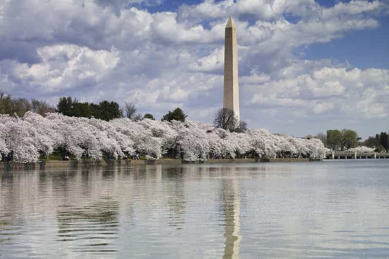 Billet Visite en bus de Washington D.C. avec le Washington Monument ou le musée de l'air et de l'espace (facultatif)