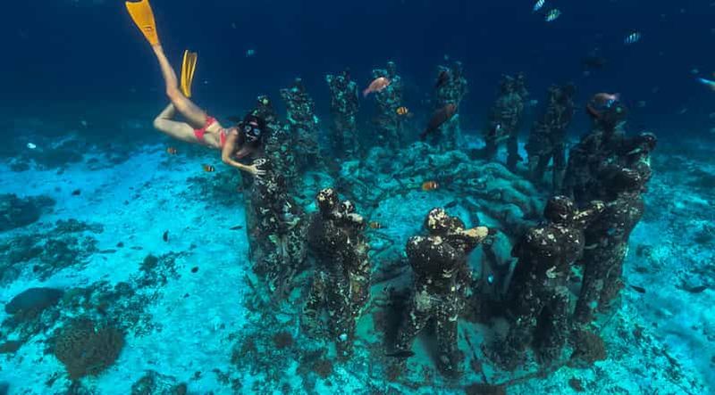 Billet Visite d'une jounée privée de plongée en apnée aux îles Gili