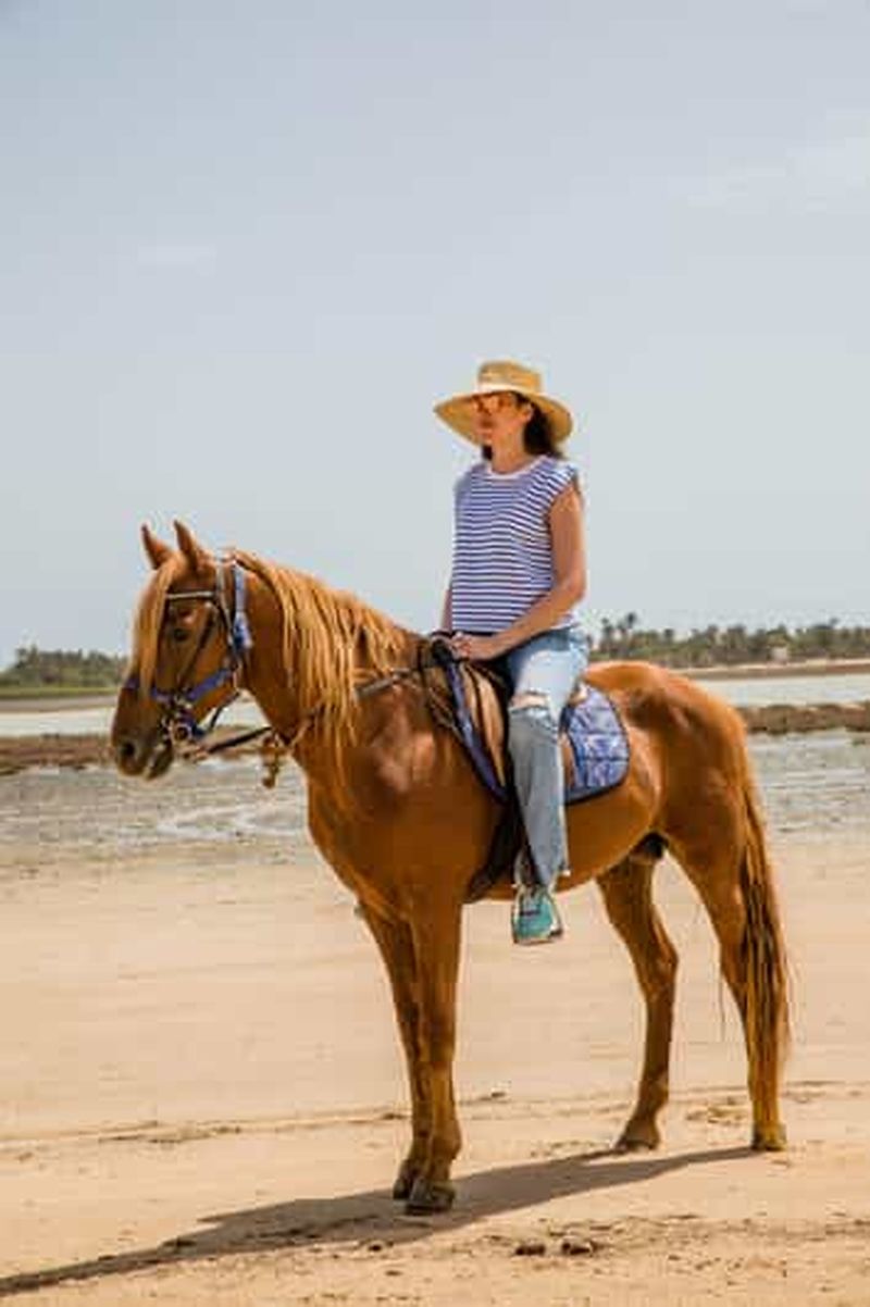 Billet Djerba 1H30 Randonnée à cheval