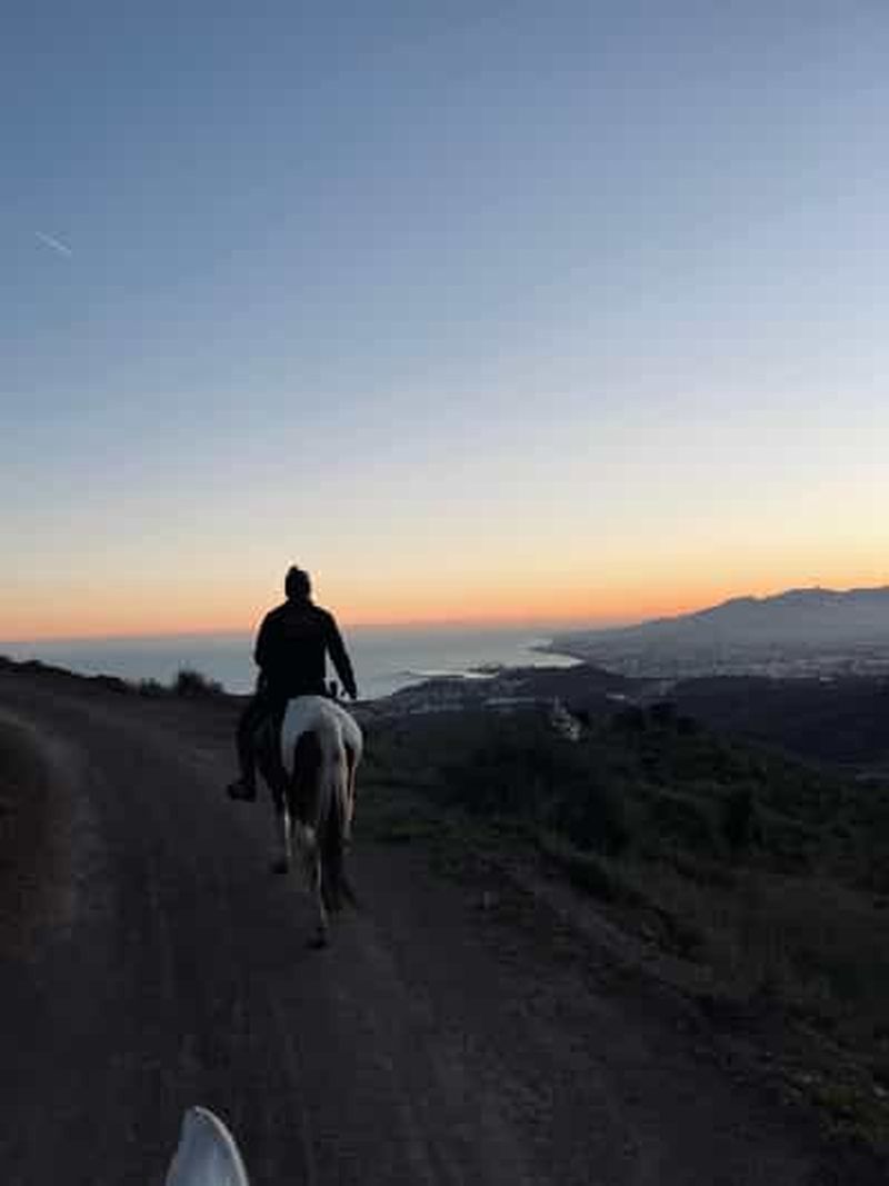 Billet Randonnée à cheval dans le parc naturel de Montes Malaga - 1 heure