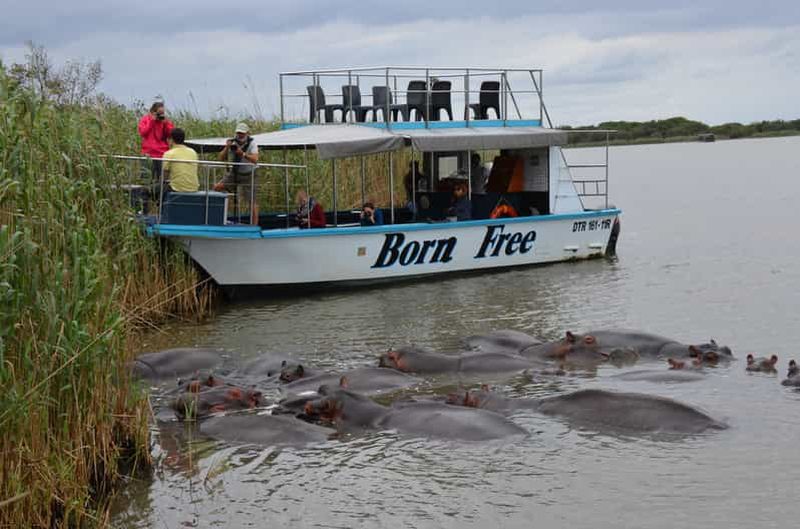 Billet Depuis Durban : promenade en bateau dans les zones humides de Sainte-Lucie