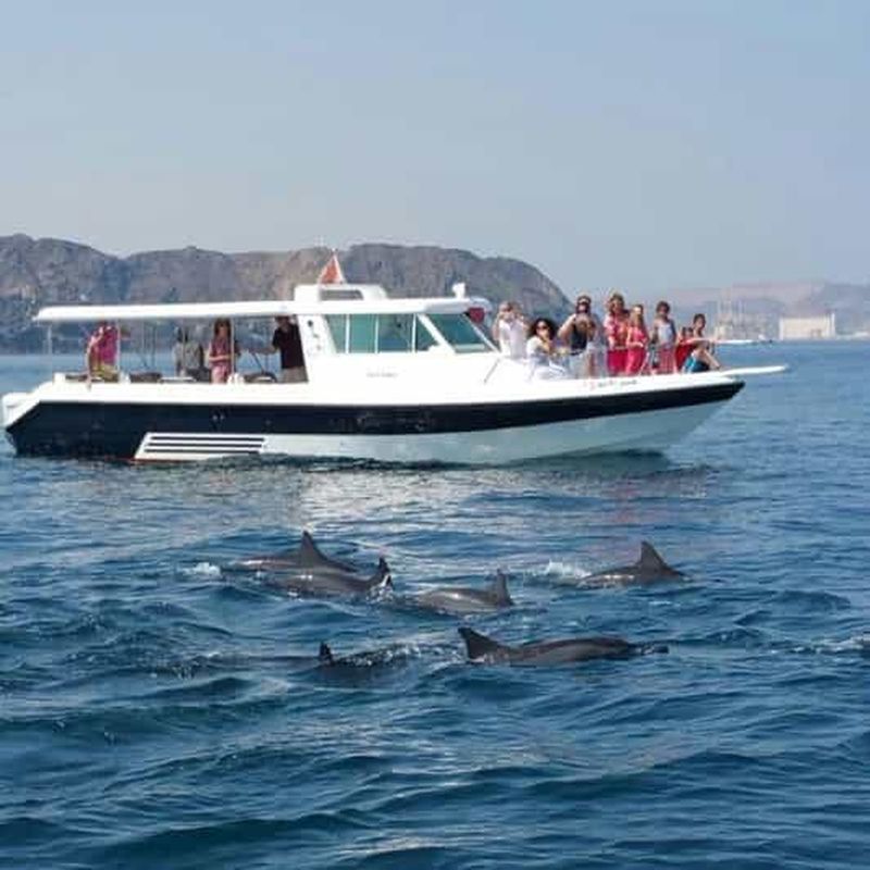 Billet Observation des dauphins à Mascate et visite touristique de la côte