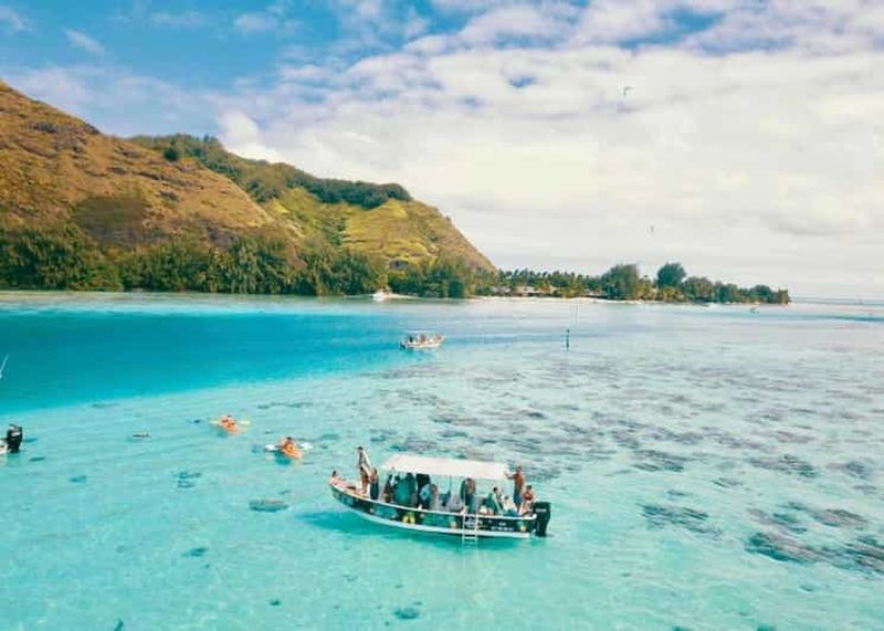 Billet Moorea : excursion snorkeling dans le lagon et le récif avec boissons