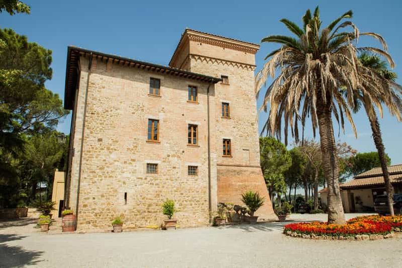 Billet Visite de la cave Goretti et dégustation de vins