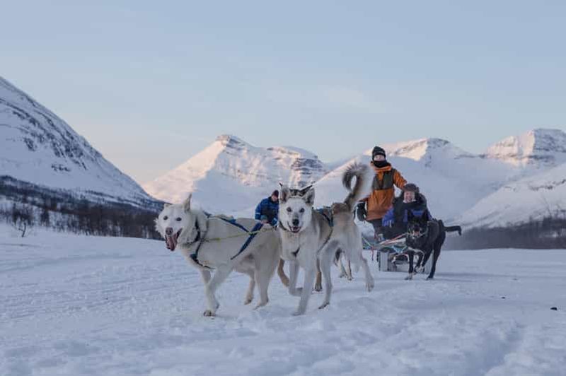 Billet Depuis Tromsø : Journée de traîneau à chiens avancé et visite d'un parc à neige