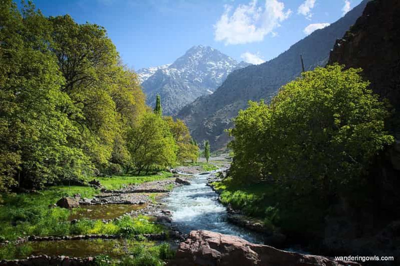 Billet Depuis Marrakech : excursion d'une journée dans l'Atlas et la vallée de l'Ourika