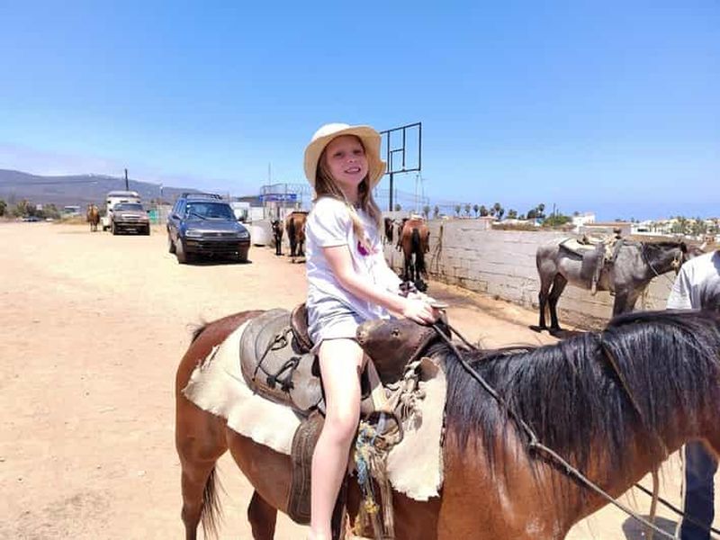 Billet Ensenada : Randonnée à cheval à Punta Banda