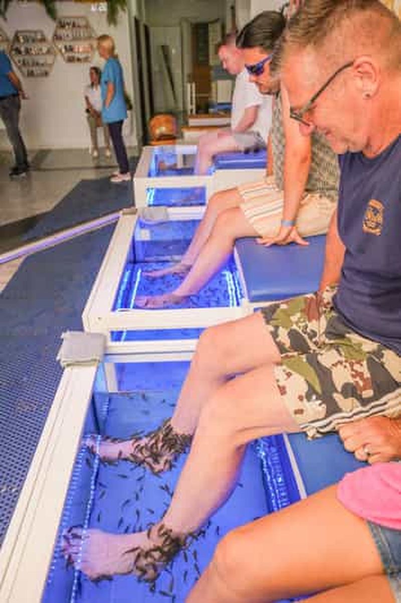 Billet Expérience de soins des pieds et Fish Spa Playa Fañabé