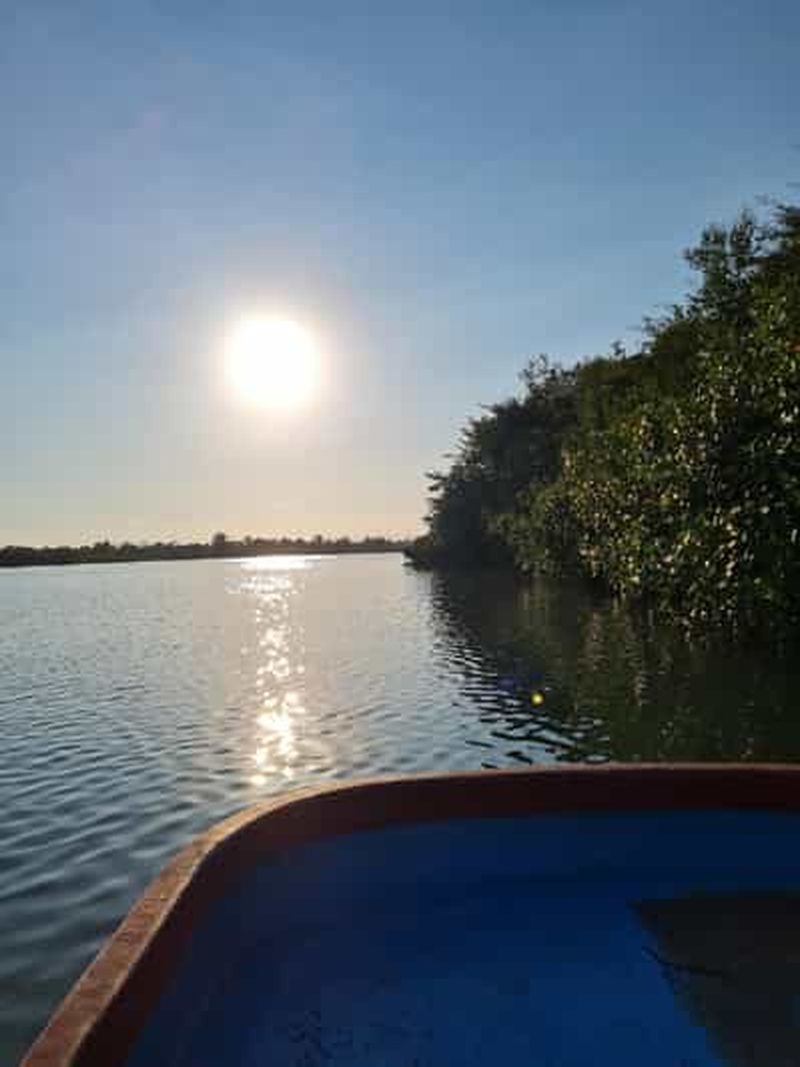 Billet Tour en bateau dans la mangrove de Quepos