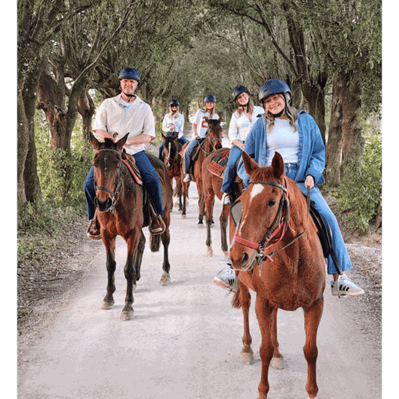 Billet Sienne : Randonnée à cheval dans la campagne toscane