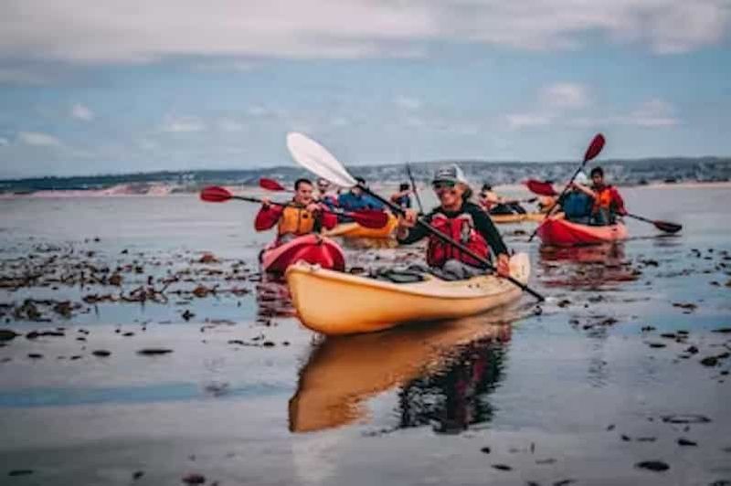 Billet Monterey : Visite en kayak de Cannery Row