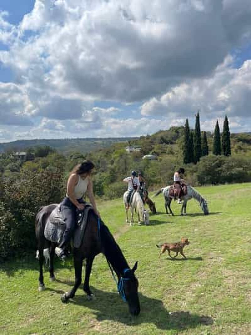 Billet Tbilissi : balade à cheval dans la forêt de Sabaduri et barbecue