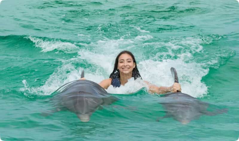 Billet Punta Cana : Baignade royale avec les dauphins