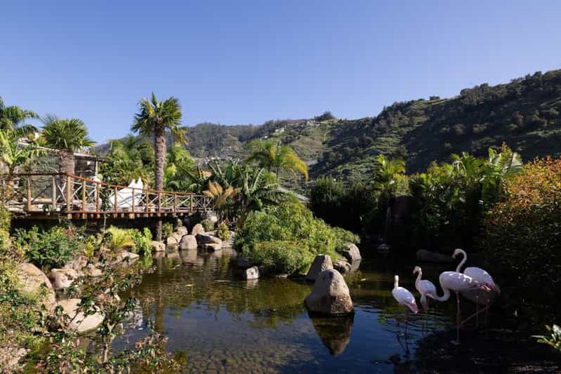 Billet Visite de l'île aux oiseaux de Madère