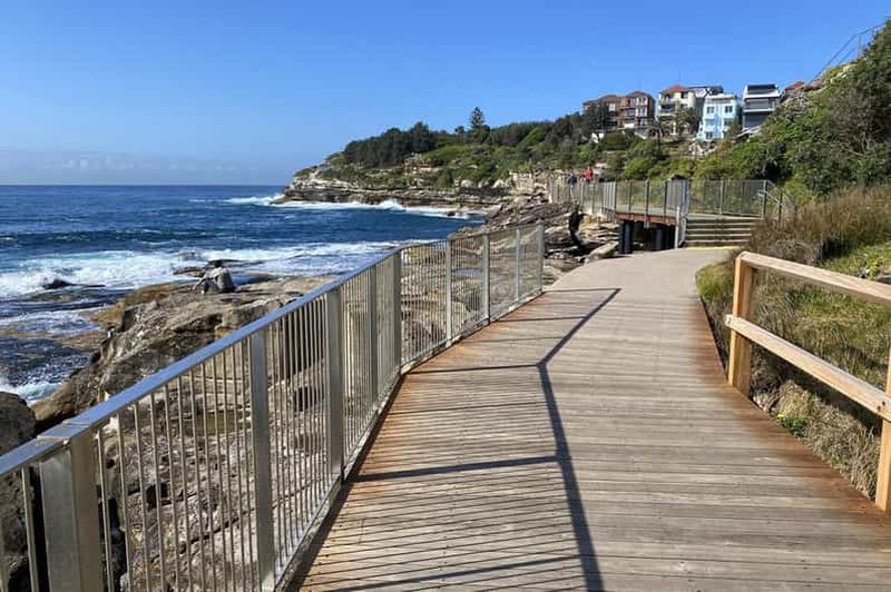 Billet Sydney : Randonnée de Bondi à Coogee avec déjeuner à la carte