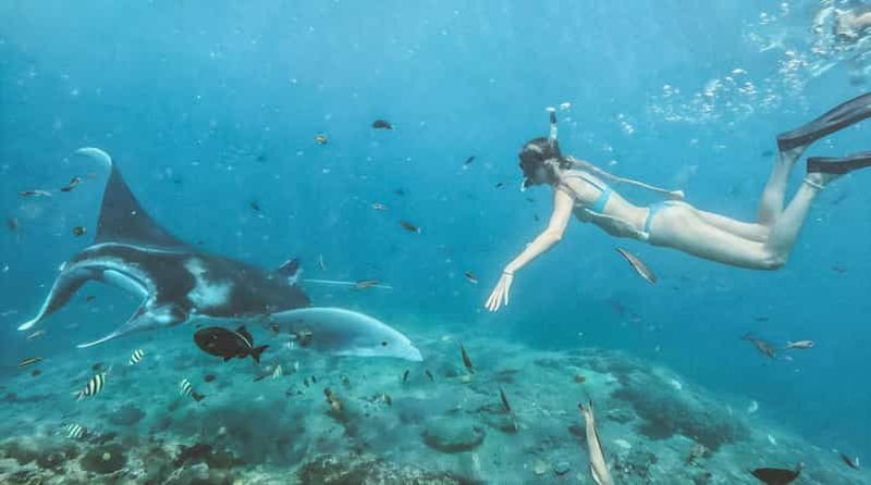 Billet Bali/Nusa Penida : Plongée avec tuba à Manta Point et visite de la côte ouest