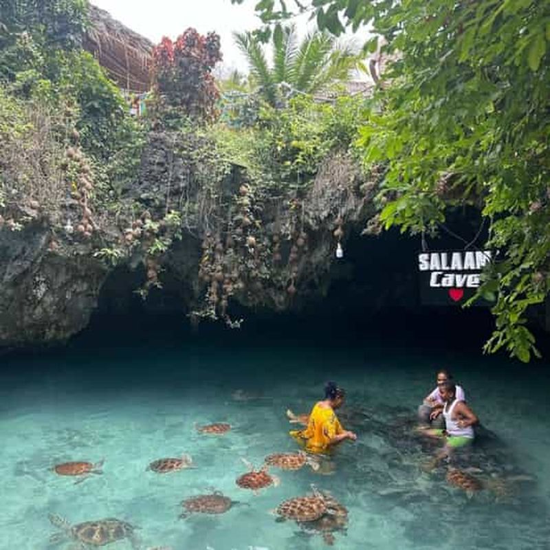 Billet ZANZIBAR : Kayak dans la mangrove et baignade avec les tortues à la grotte de Salaam