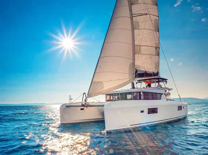 Billet Baie de Funchal : Croisière d'observation des baleines et des dauphins sur un catamaran de luxe