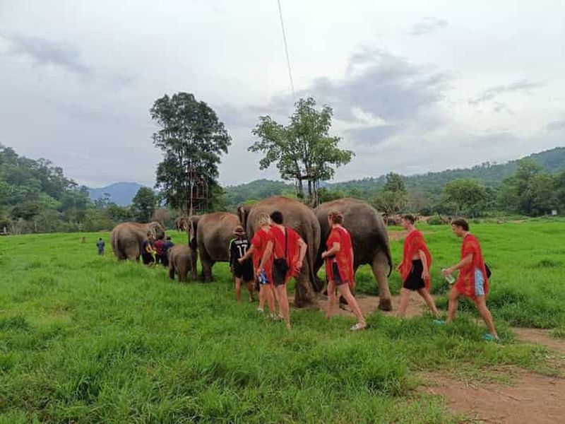 Billet Chiang Mai : Circuit en quad + soins aux éléphants