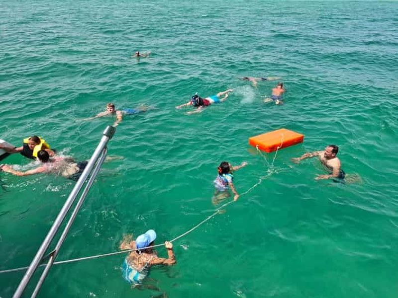 Billet Djerba: Catamaran de Luxe – Baignade, Musique & Observation des Dauphins