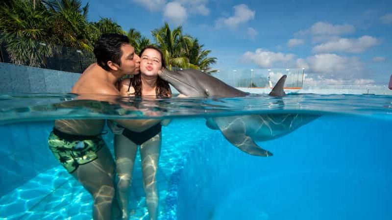 Billet Akumal : Profitez d'une merveilleuse rencontre avec les dauphins
