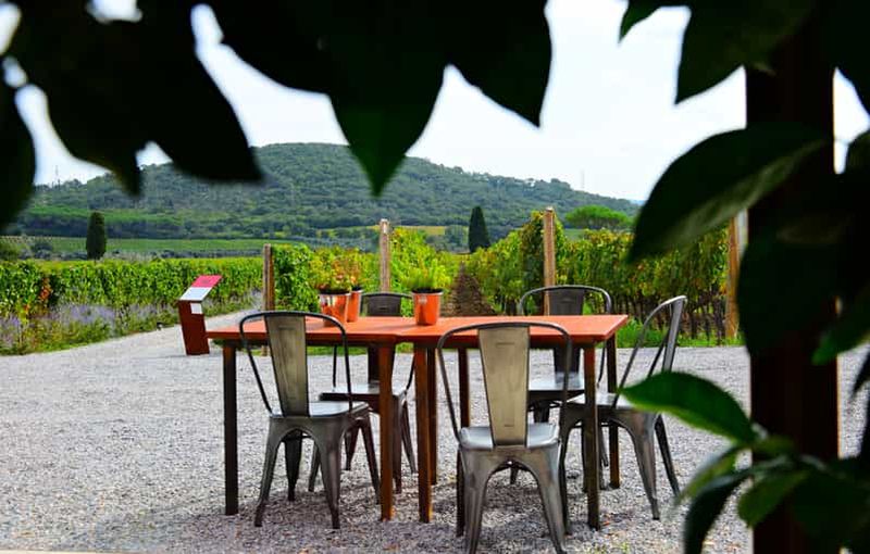 Billet Visite exclusive de Cortona, terre de la Syrah toscane