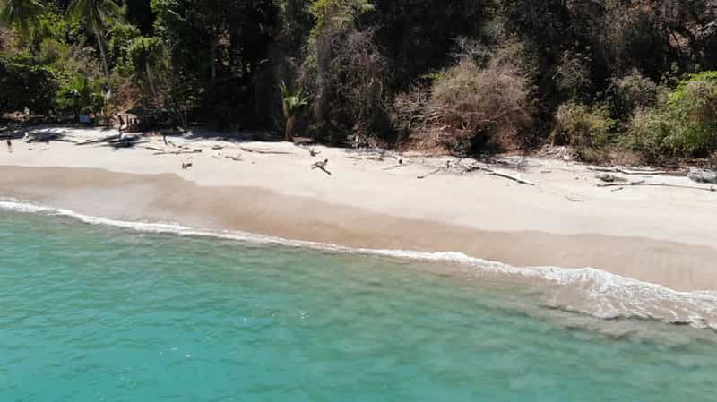 Billet Paquera : excursion de plongée en apnée à l'île Tortuga