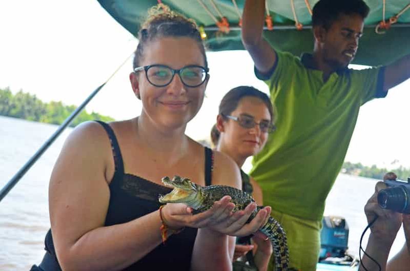 Billet Safari sur la rivière Bentota avec découverte de la mangrove et de la faune sauvage