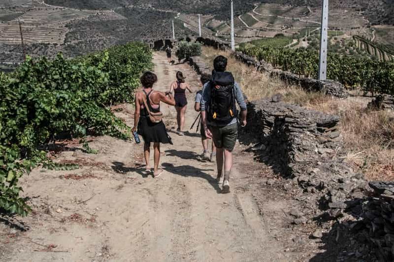 Billet Pinhão : Randonnée guidée dans la vallée du Douro