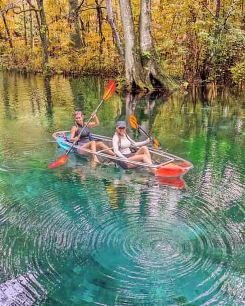 Billet Silver Springs : aventure en kayak et paddleboard dans la jungle