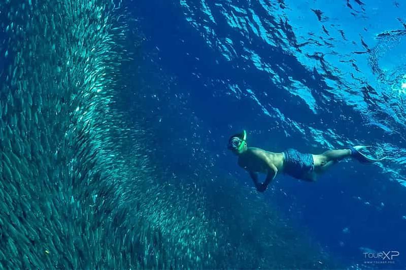 Billet Cebu : Forfait de 2 jours et 1 nuit en ville et à Moalboal