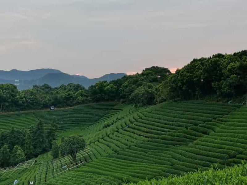 Billet Visite de 2 jours à Hangzhou et Wuzhen depuis Shanghai