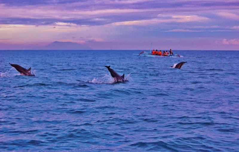 Billet Bali : Tour de Lovina pour voir les dauphins