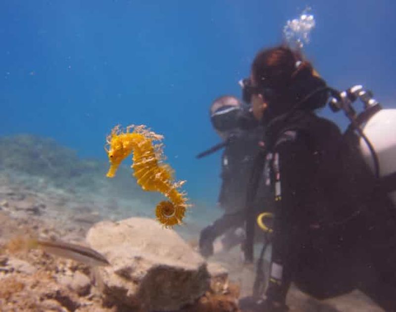 Billet Split-Makarska-Brela Essayez la plongée sous-marine