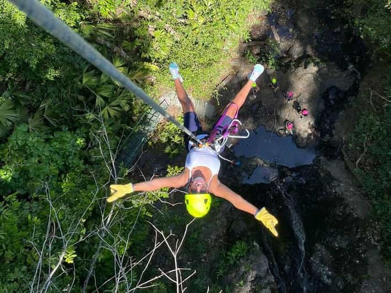 Billet Manuel Antonio : Tour de canopée en tyrolienne avec jardin de papillons