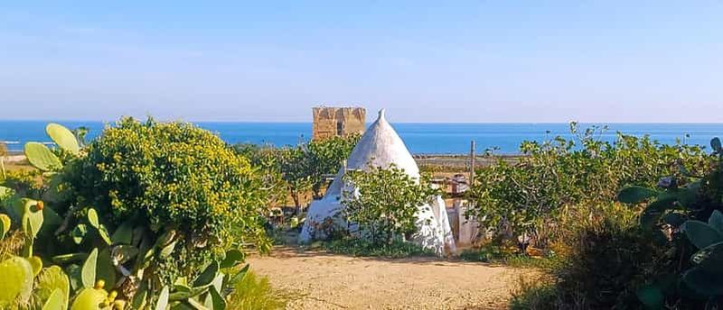 Billet Voyage dans les Pouilles depuis Bari : visitez Polignano, Alberobello et Matera
