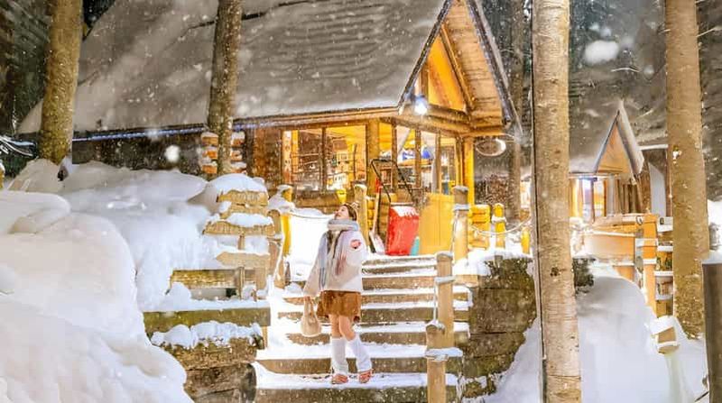 Billet Pingouins et motoneige : l'hiver à Sapporo (zoo d'Asahiyama)